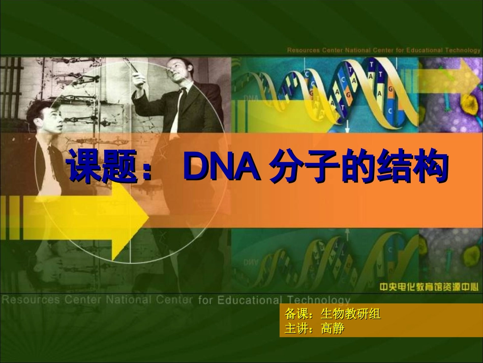 DNA分子的结构_第2页