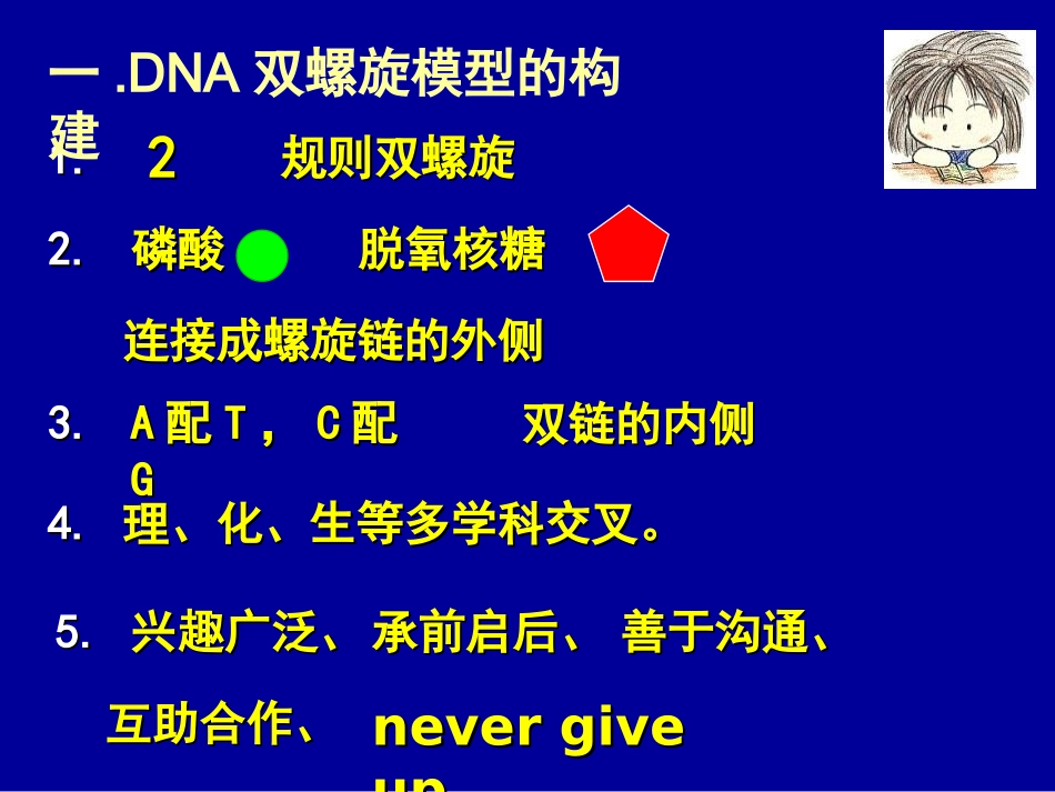 DNA分子的结构_第3页