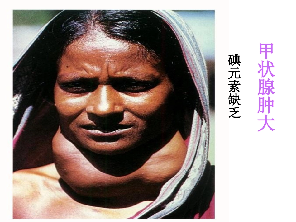 课题2-化学元素与人体健康_第2页