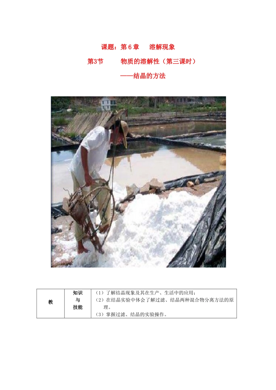 九年级化学 6.1 物质的溶解性教案 沪教版_第1页