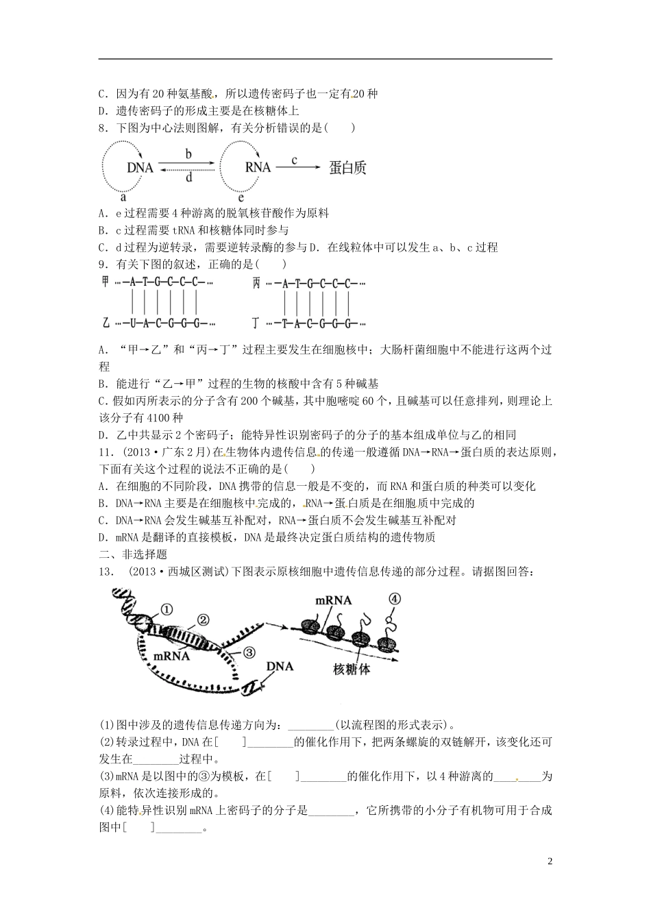 江苏省赣榆县外国语学校高考生物一轮复习 4.0 基因的表达专项训练学案 苏教版_第2页