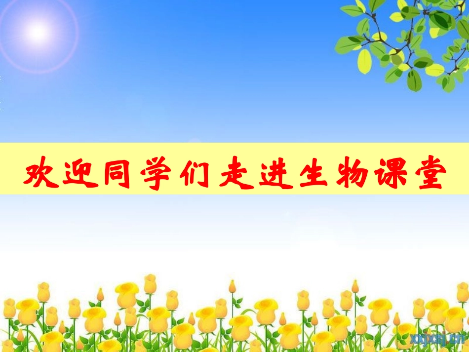 8.加酶洗衣粉的洗涤条件_第1页