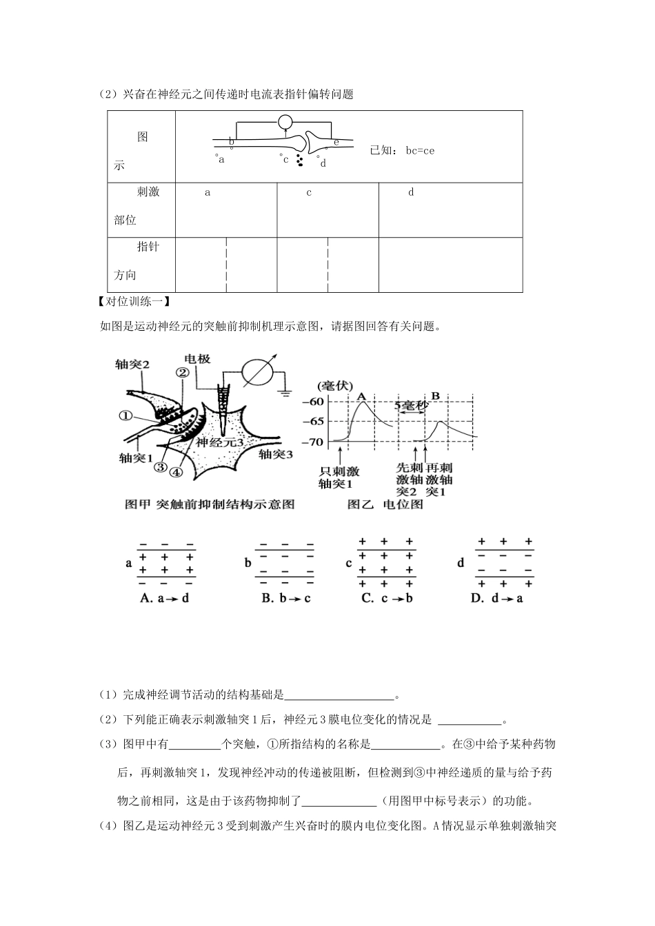 山东省单县五中高三生物二轮复习 专题11 人和动物生命活动调节导学案-人教版高三全册生物学案_第2页