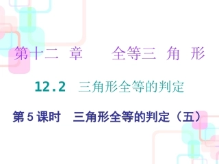 第十二章全等三角形-12.2-第五课时