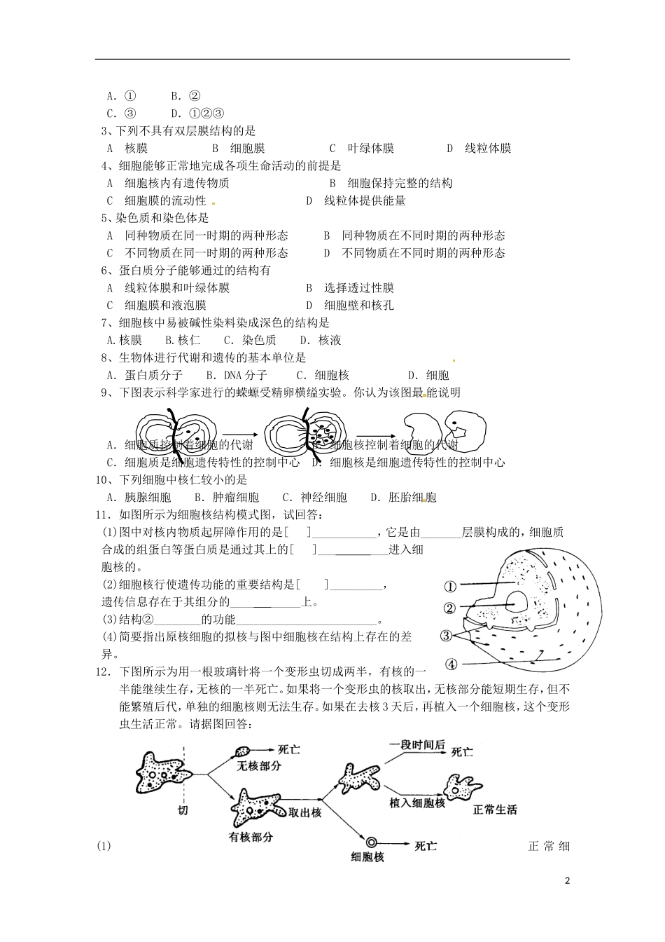 山东省淄博市高青县第三中学2103级高中生物 细胞核 系统的控制中心导学案 新人教版必修1_第2页