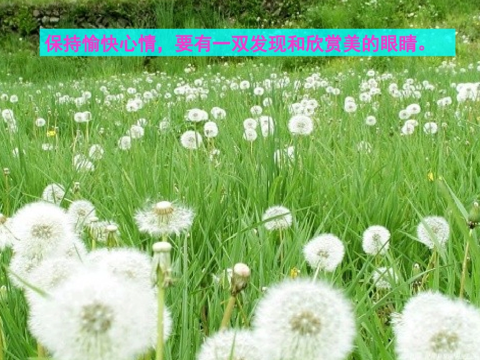 《1.3-乐观向上》课件9_第3页