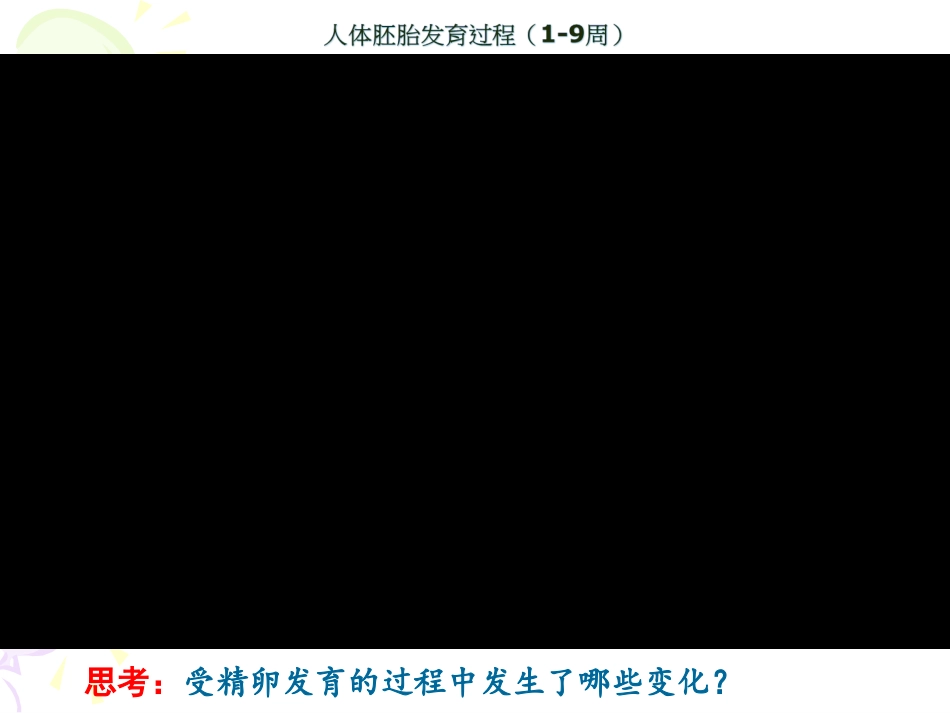 细胞分化和植物细胞的全能性_第2页