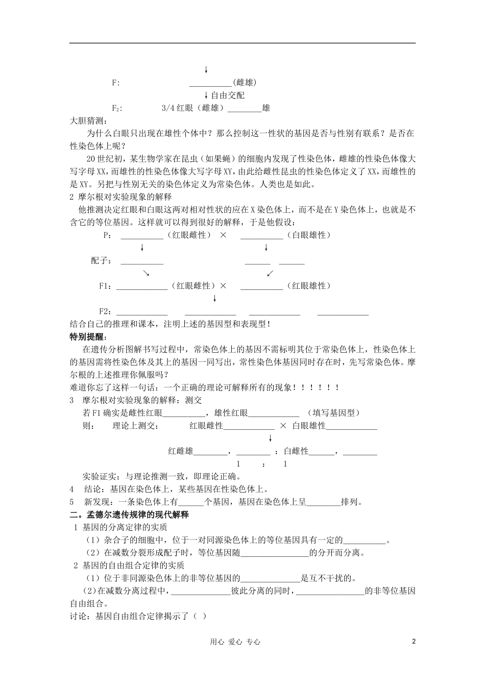 睢县回族高级中学高中生物《遗传与变异》6第二章 第二节 基因在染色体上导学案 必修2_第2页