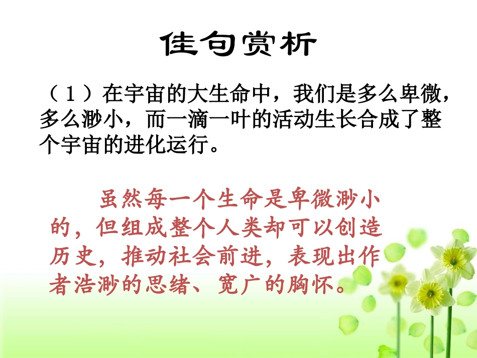 《谈生命》佳句赏析_第1页