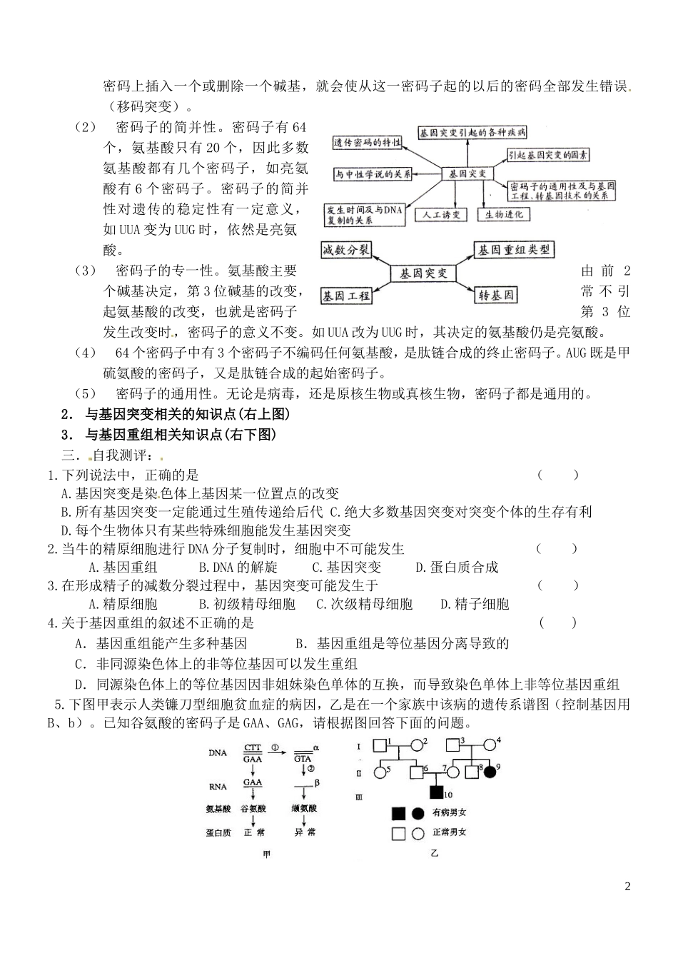 山东省德州市高中生物 第5章第1节 基因突变和基因重组学案 新人教版必修2_第2页