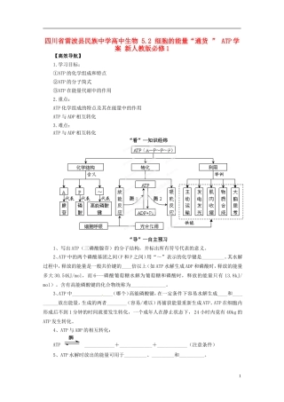 四川省雷波县民族中学高中生物 5.2 细胞的能量“通货 ”ATP学案 新人教版必修1