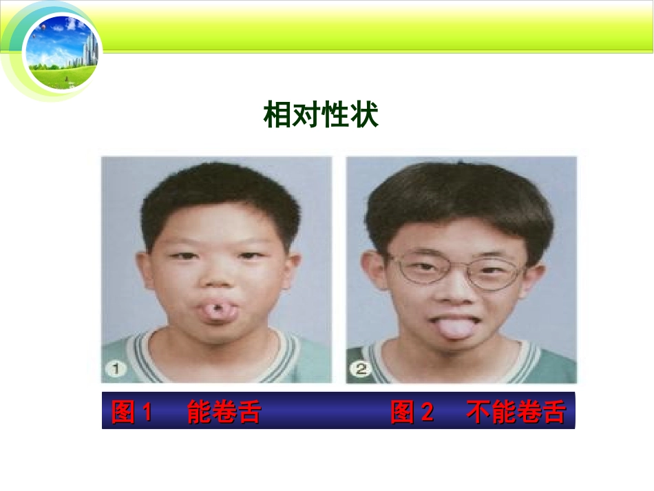 第三节基因的显性和隐性_第2页