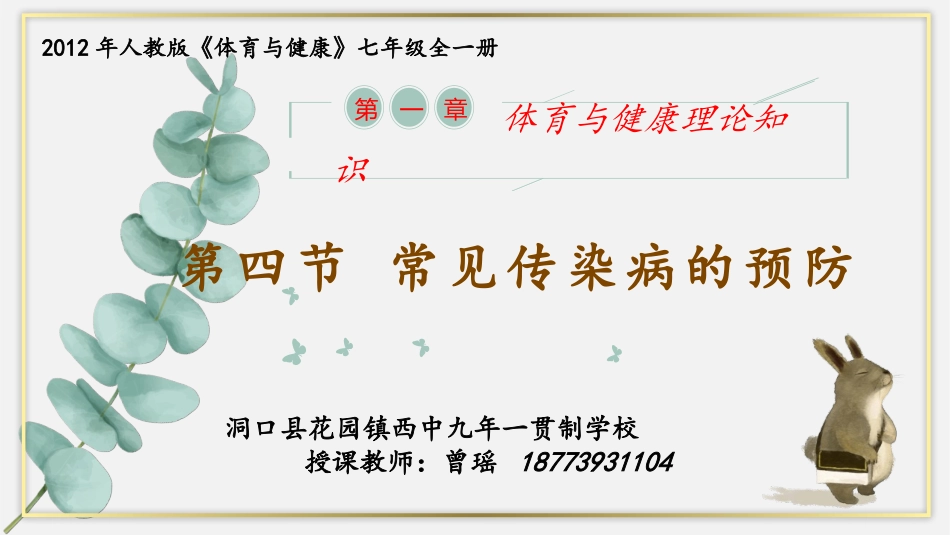 常见传染病的预防-(2)_第1页