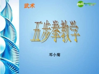 武术类运动的基本技术-(2)
