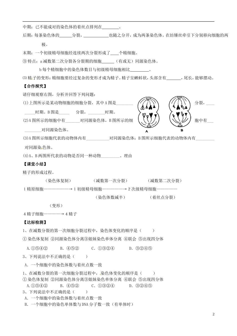 山西省临汾市清华园中学高中生物 减数分裂导学案1 新人教版必修2_第2页