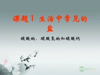 江苏省无锡市滨湖中学九年级化学下册《第十一单元 盐、化肥》课题1 生活中常见的盐课件3 新人教版