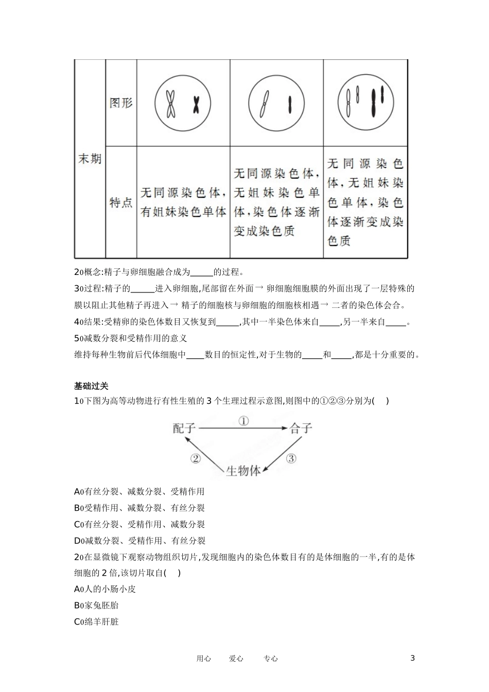 江苏省徐州市王杰中学高中生物《2.2 减数分裂(2)及有性生殖》学案 苏教版必修2_第3页