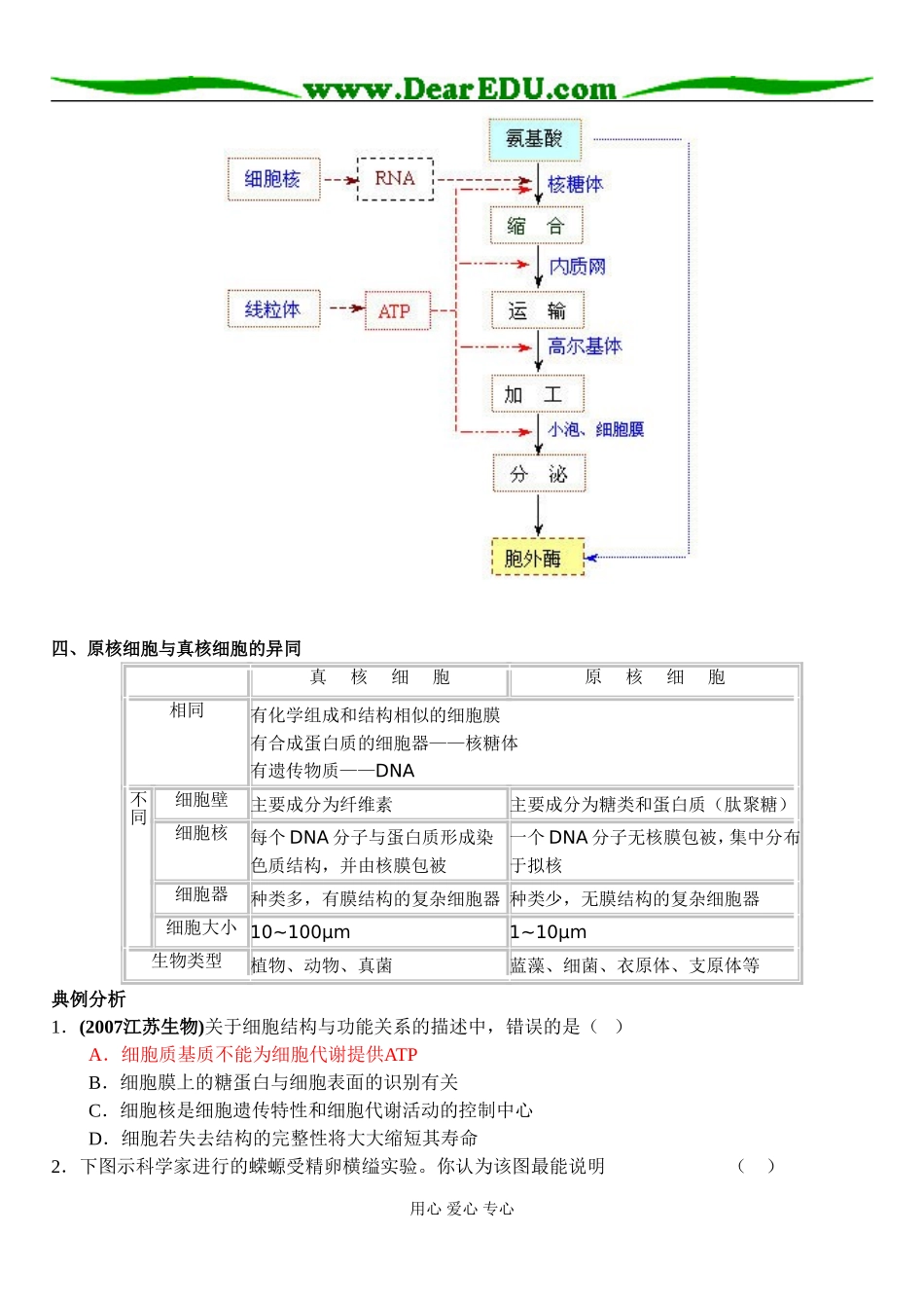 细胞核的结构和功能_第2页