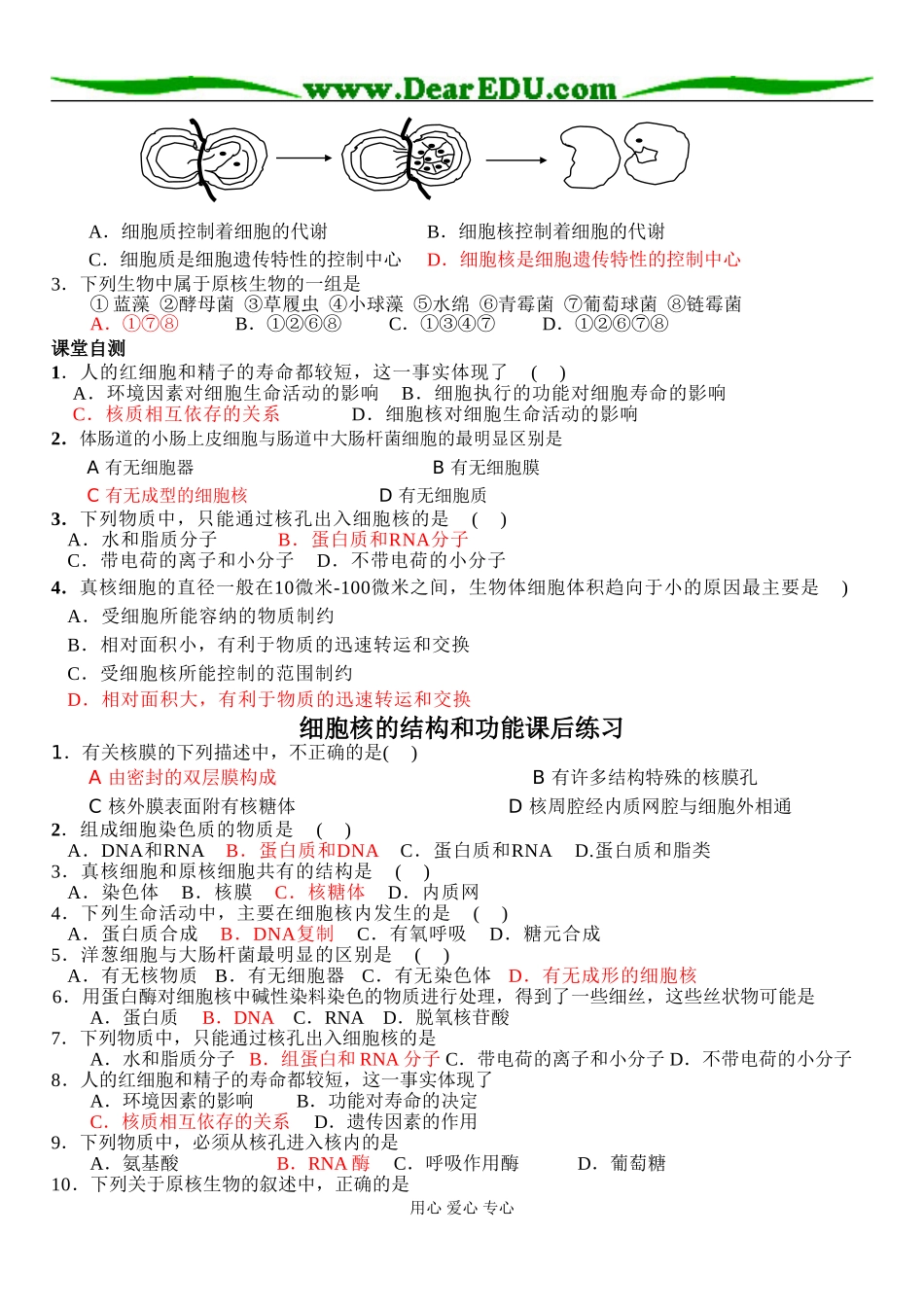 细胞核的结构和功能_第3页
