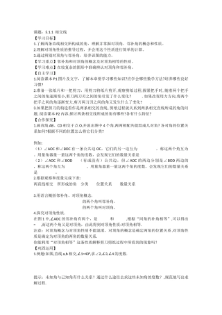 5.1.1相交线-(11)