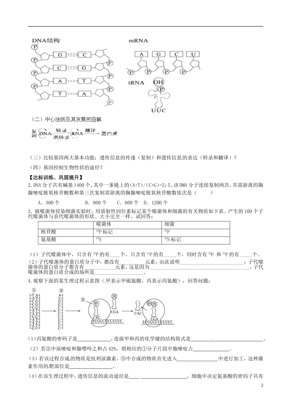 山东省淄博市淄川般阳中学高中生物 第一章《遗传的物质基础》学案2 新人教版必修2_第2页