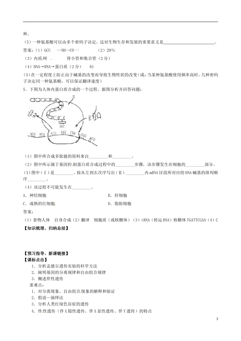 山东省淄博市淄川般阳中学高中生物 第一章《遗传的物质基础》学案2 新人教版必修2_第3页