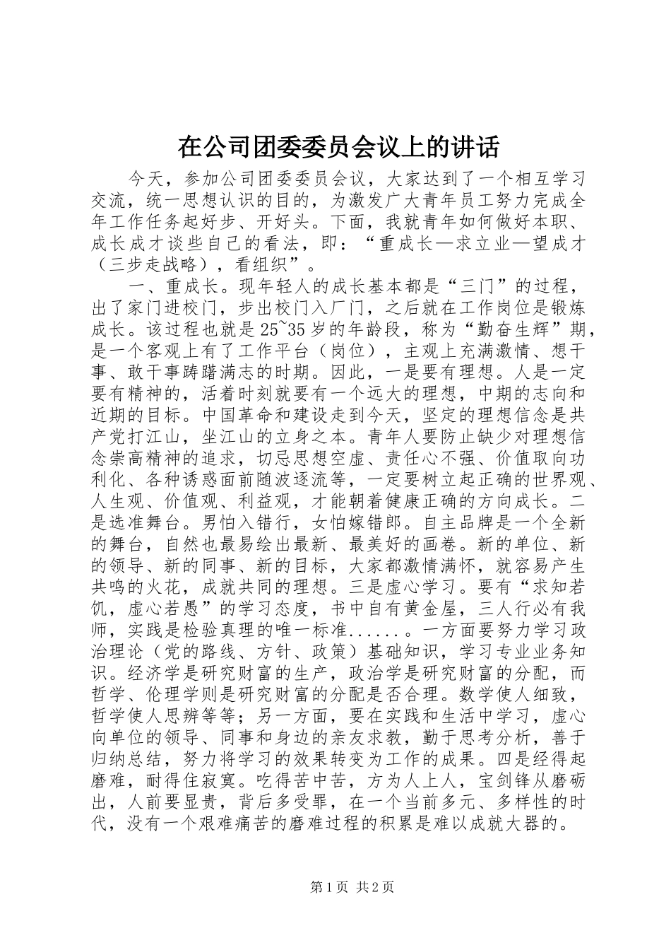 在公司团委委员会议上的讲话发言_第1页