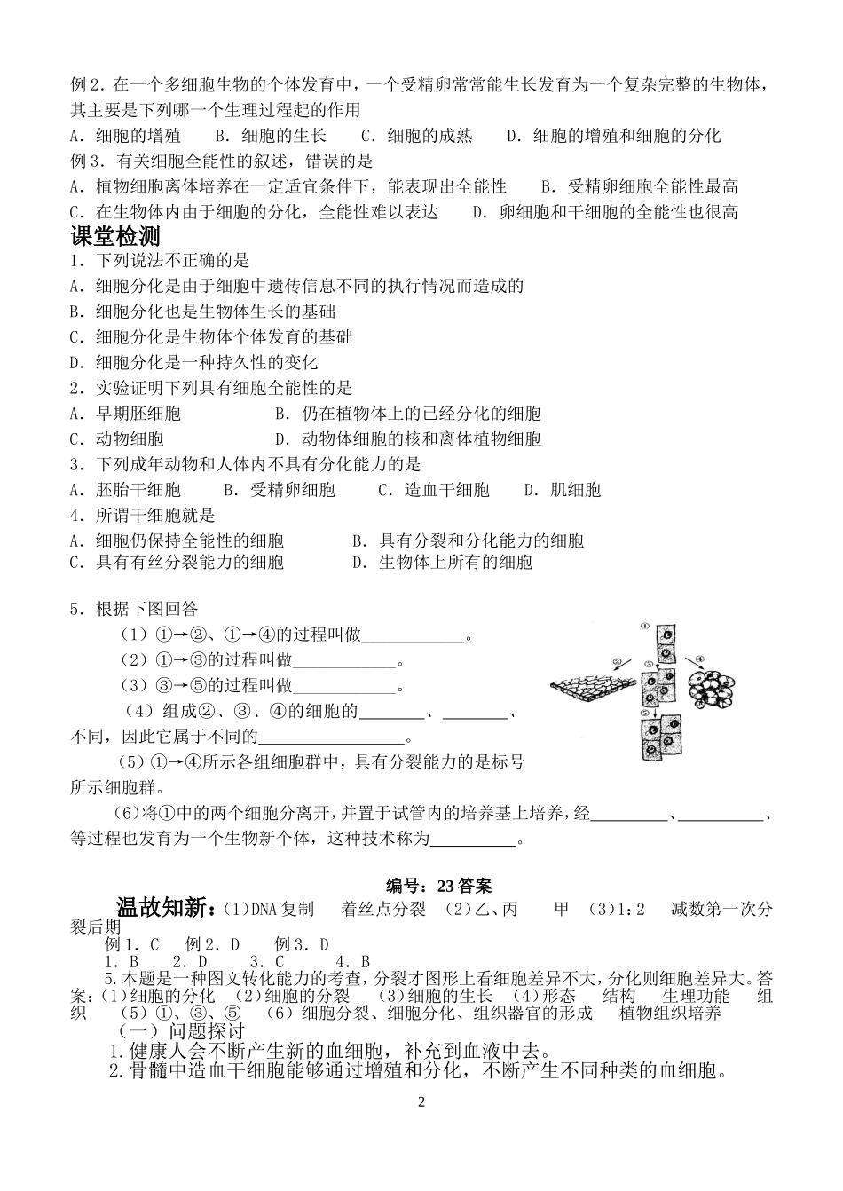 细胞的生命历程2_第2页