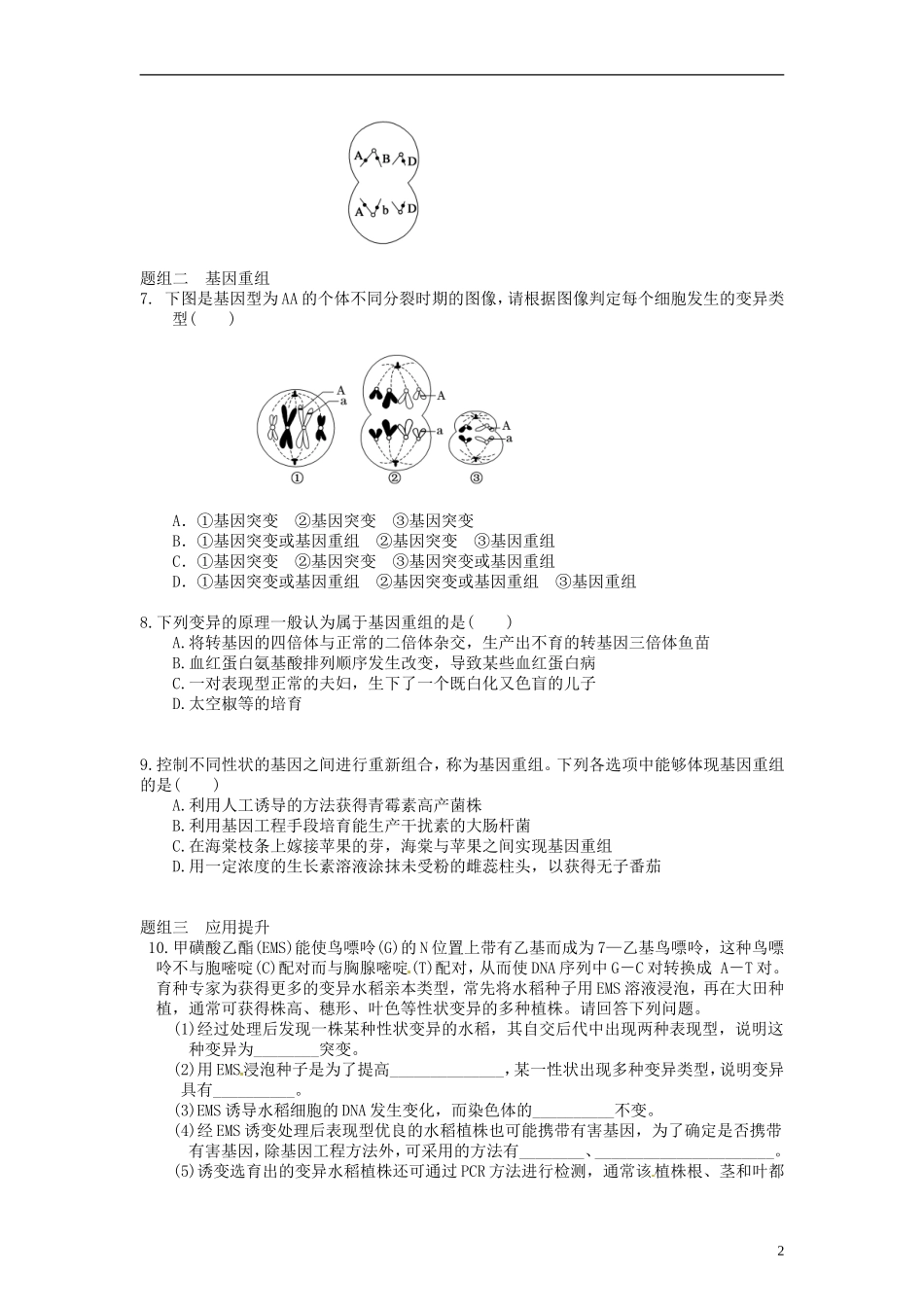 山东省沂水县第一中学高考生物一轮复习 基因突变和基因重组（第2课时）学案 新人教版_第2页