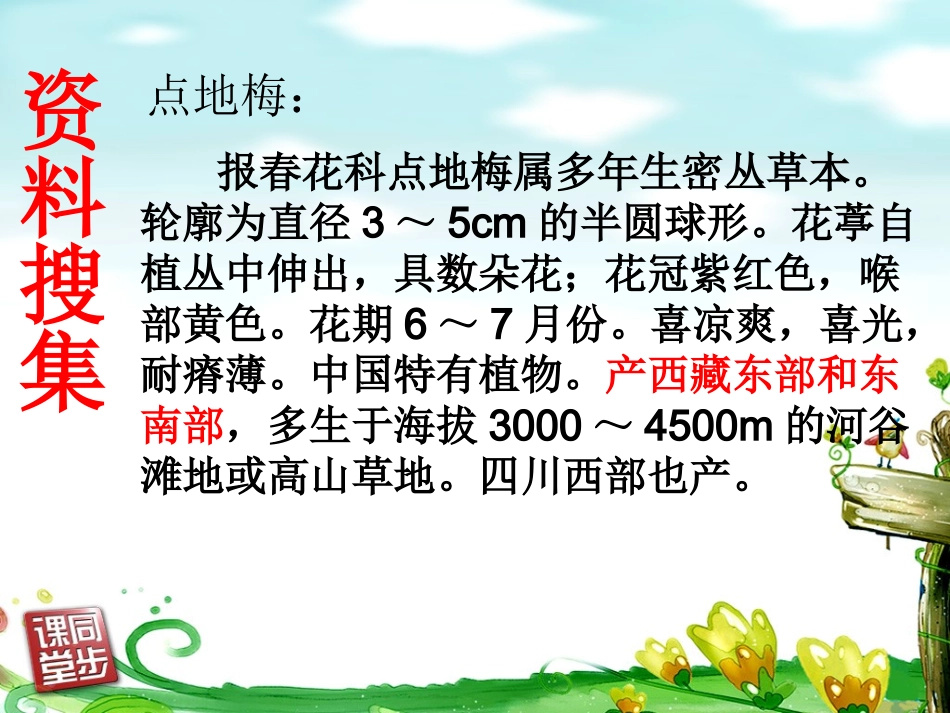 9《烂漫的点地梅》课件_第2页