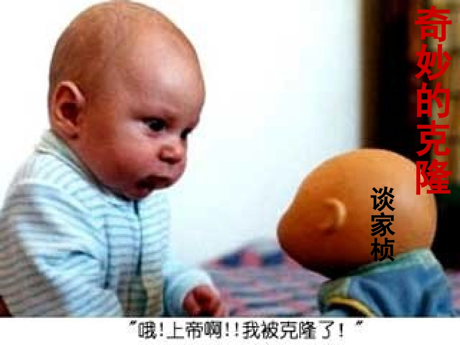 奇妙的克隆(上课资料)_第2页