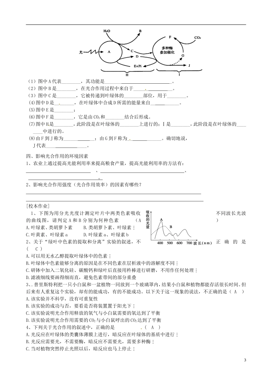 江苏省徐州市王杰中学高中生物 4-2光合作用导学案 苏教版必修1_第3页