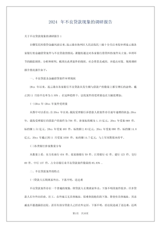 2024年不良贷款现象的调研报告