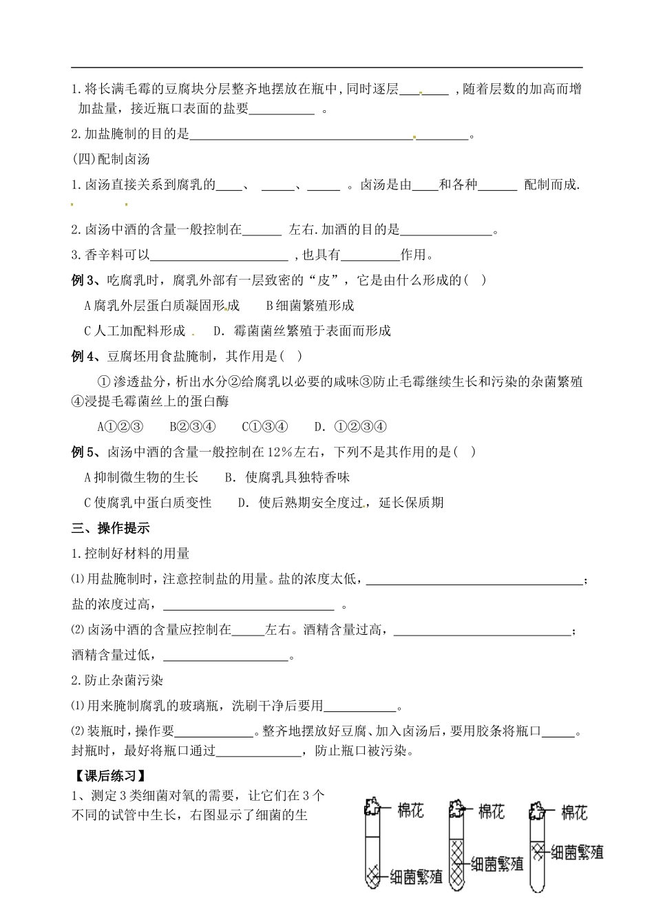 江苏省洪泽外国语中学高二生物复习资料 腐乳的制作学案 新人教版_第2页