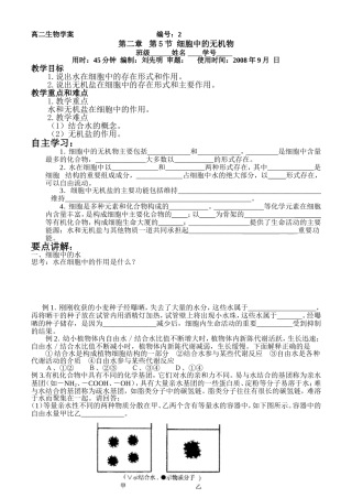 组成细胞的分子5