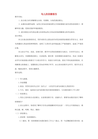 五年级语文上册 第十单元 家园的呼唤 24 鸟儿的侦察报告教案 北师大版-北师大版小学五年级上册语文教案