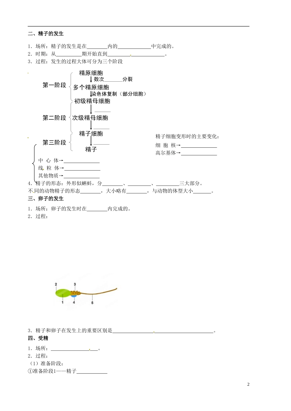 山东省新泰市第二中学高中生物 3.1体内受精和早期胚胎发育（1）教学案 新人教版选修3_第2页