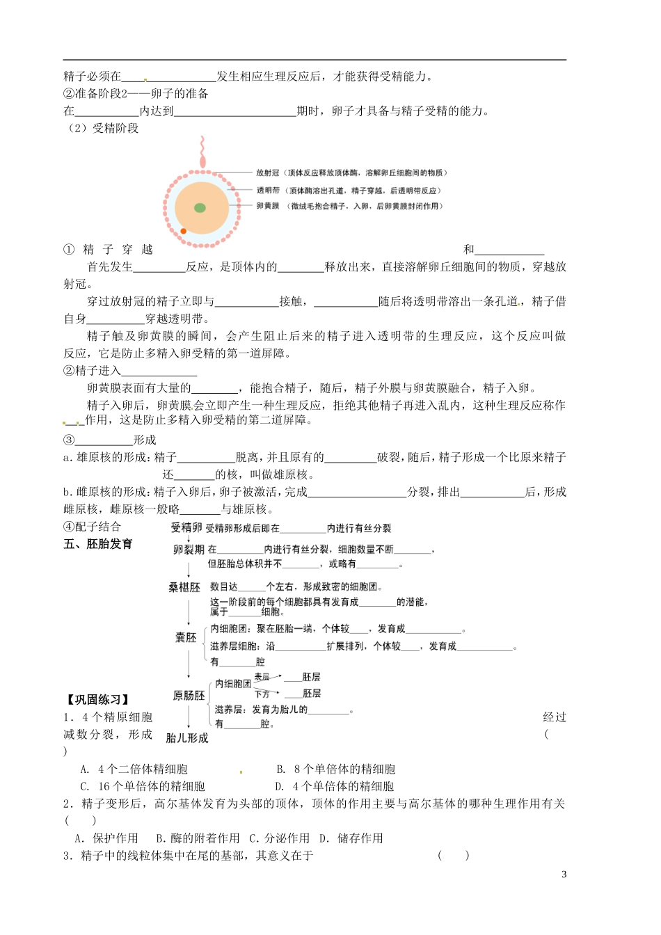 山东省新泰市第二中学高中生物 3.1体内受精和早期胚胎发育（1）教学案 新人教版选修3_第3页