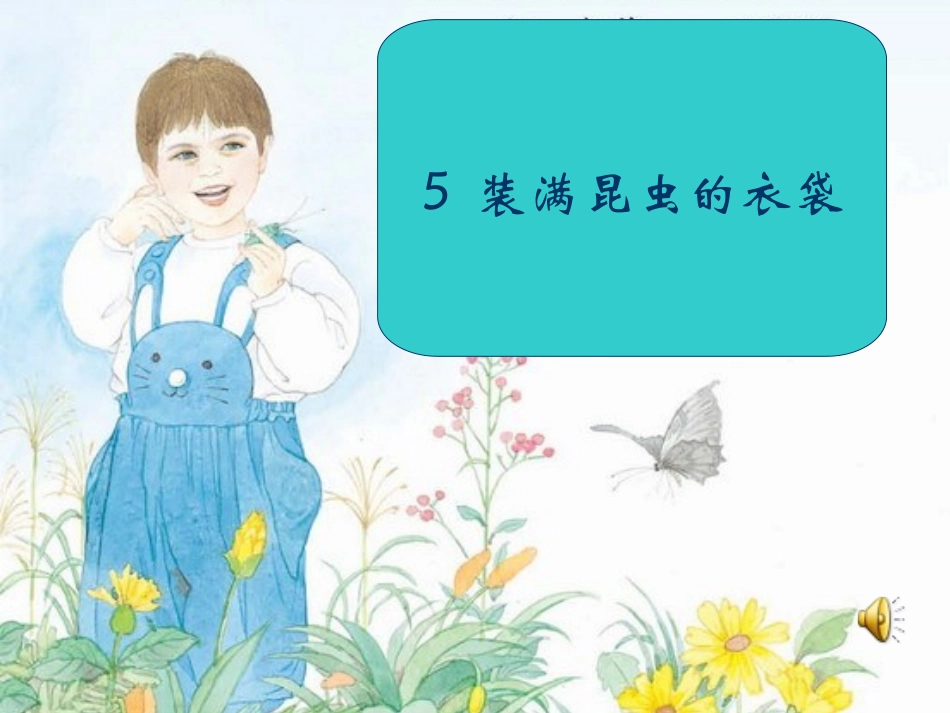 5-装满昆虫的衣袋_第1页