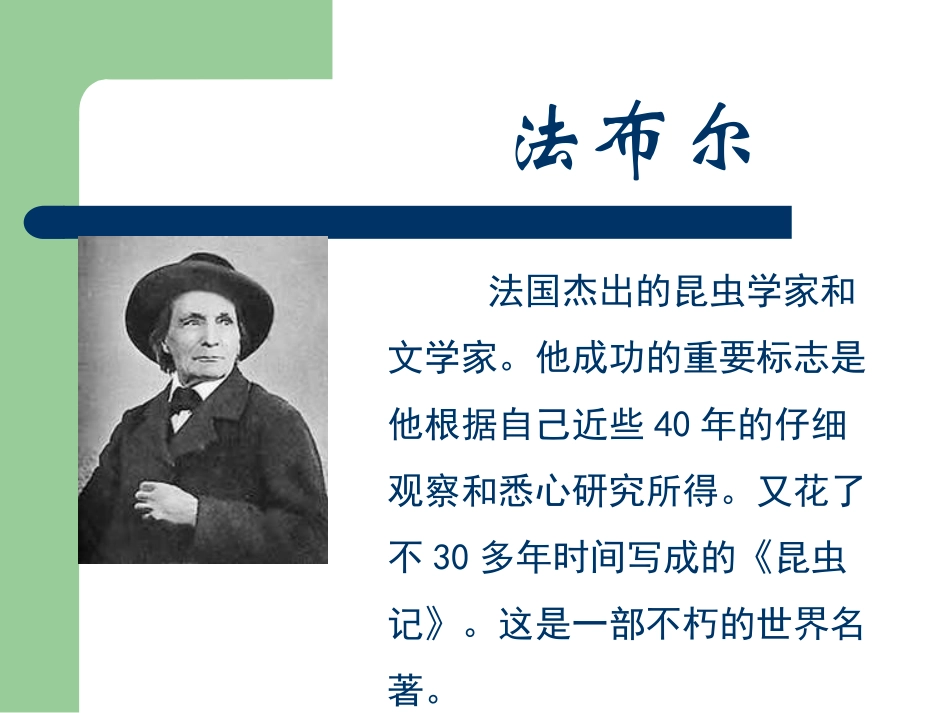 5-装满昆虫的衣袋_第3页