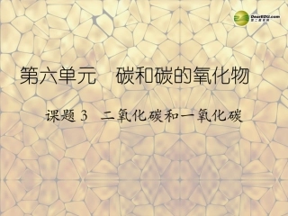 天津市梅江中学九年级化学上册 第六单元 碳和碳的氧化物 课题3 二氧化碳和一氧化碳（第1课时）课件 （新版）新人教版