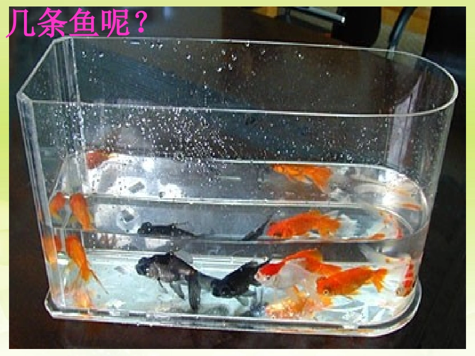 新疆石河子市第十六中学九年级数学下册《池塘里有多少条鱼》课件-新人教版_第1页