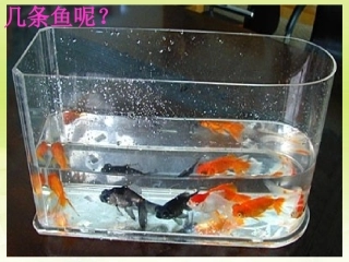 新疆石河子市第十六中学九年级数学下册《池塘里有多少条鱼》课件-新人教版