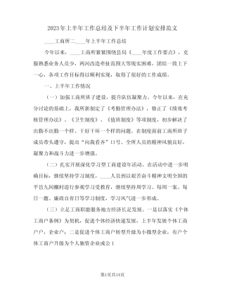 2023年上半年工作总结及下半年工作计划安排范文(2篇)
