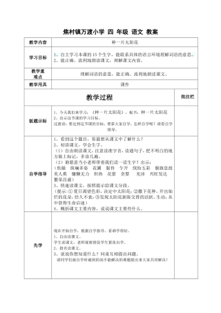 种一片太阳花1