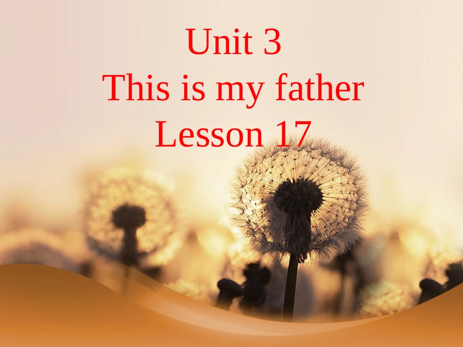 Unit-3-This-is-my-father-Lesson-17-课件1_第1页