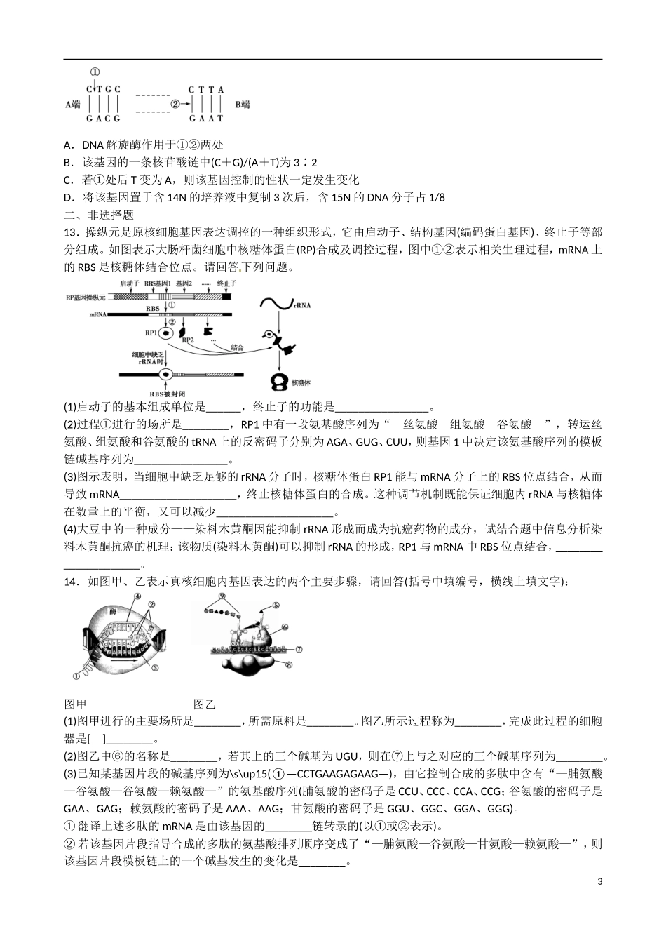 山东省乐陵市第一中学高考生物总复习 遗传物质基础学案_第3页