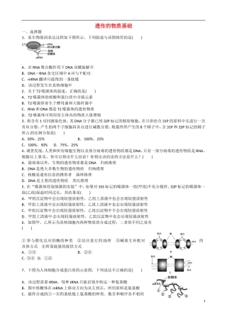 山东省乐陵市第一中学高考生物总复习 遗传物质基础学案