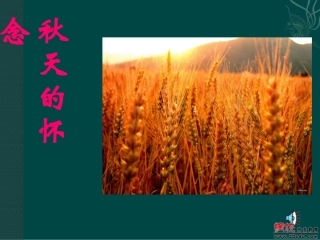 2秋天的怀念(课件)