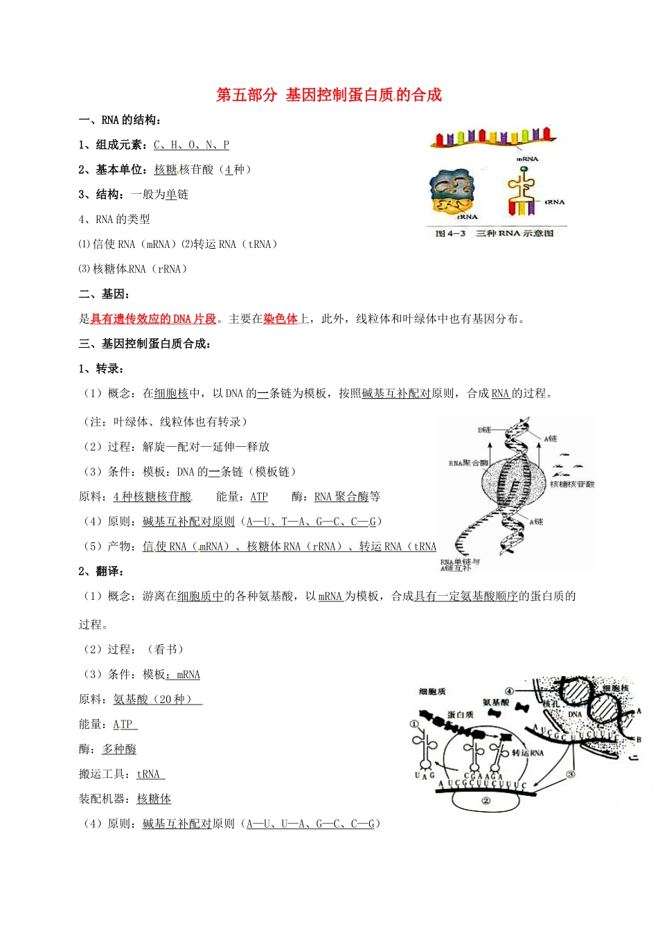 江苏省徐州市高考生物总复习 专题四 生物的遗传 第五部分 基因控制蛋白质的合成学案-人教版高三全册生物学案_第1页